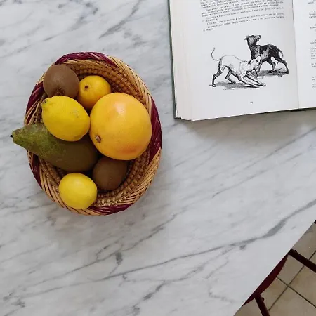 Bien Agence, Cosy Et Calme, Joli Petit Appart! Tours