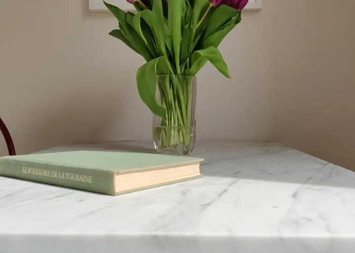 Bel Calme Confort Entierement Equipe Lejlighed Tours