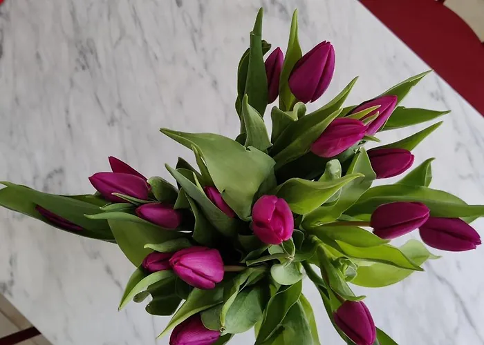 Bel Calme Confort Entierement Equipe טור