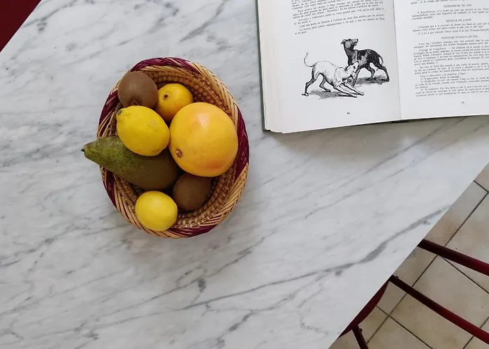 Bel Calme Confort Entierement Equipe Tours