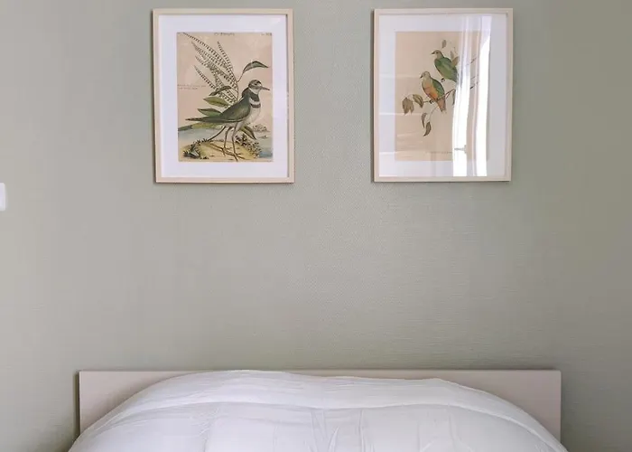 Bel Calme Confort Entierement Equipe * Tours